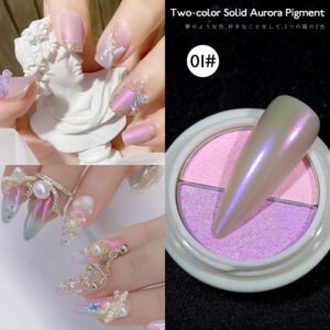 Bojun CH01 Two-Color Fairy Aurora Solid Pigment Powder