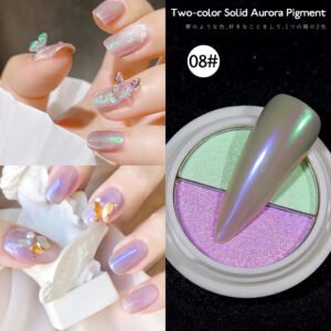 Bojun CH08 Two-Color Fairy Aurora Solid Pigment Powder