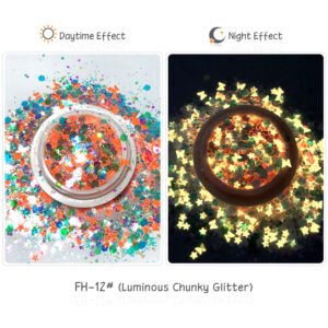 Bojun FH12 Super Shiny Luminous Chunky